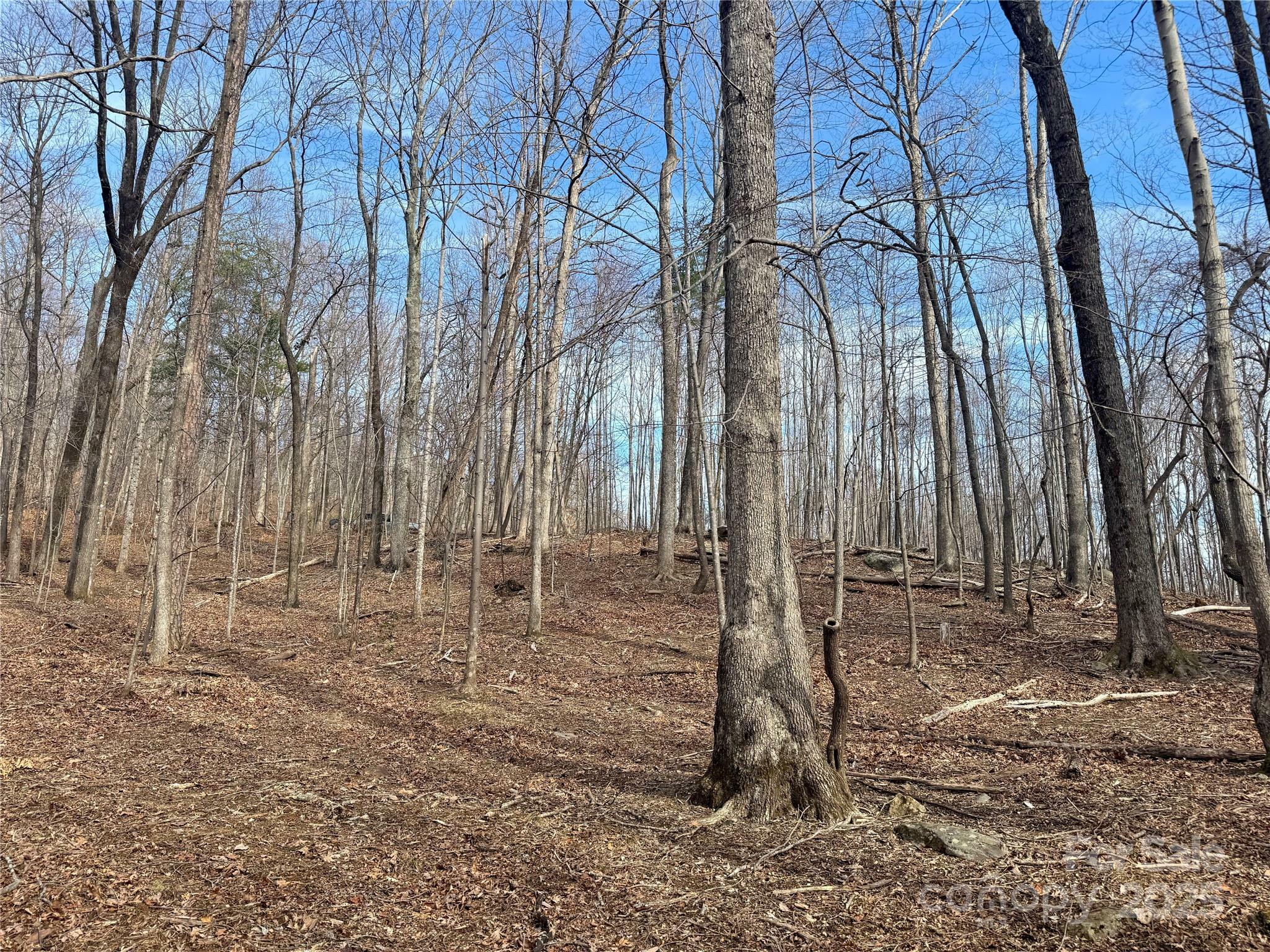 Property Photo: 99999 Chesterfield Drive 176 NC 28756