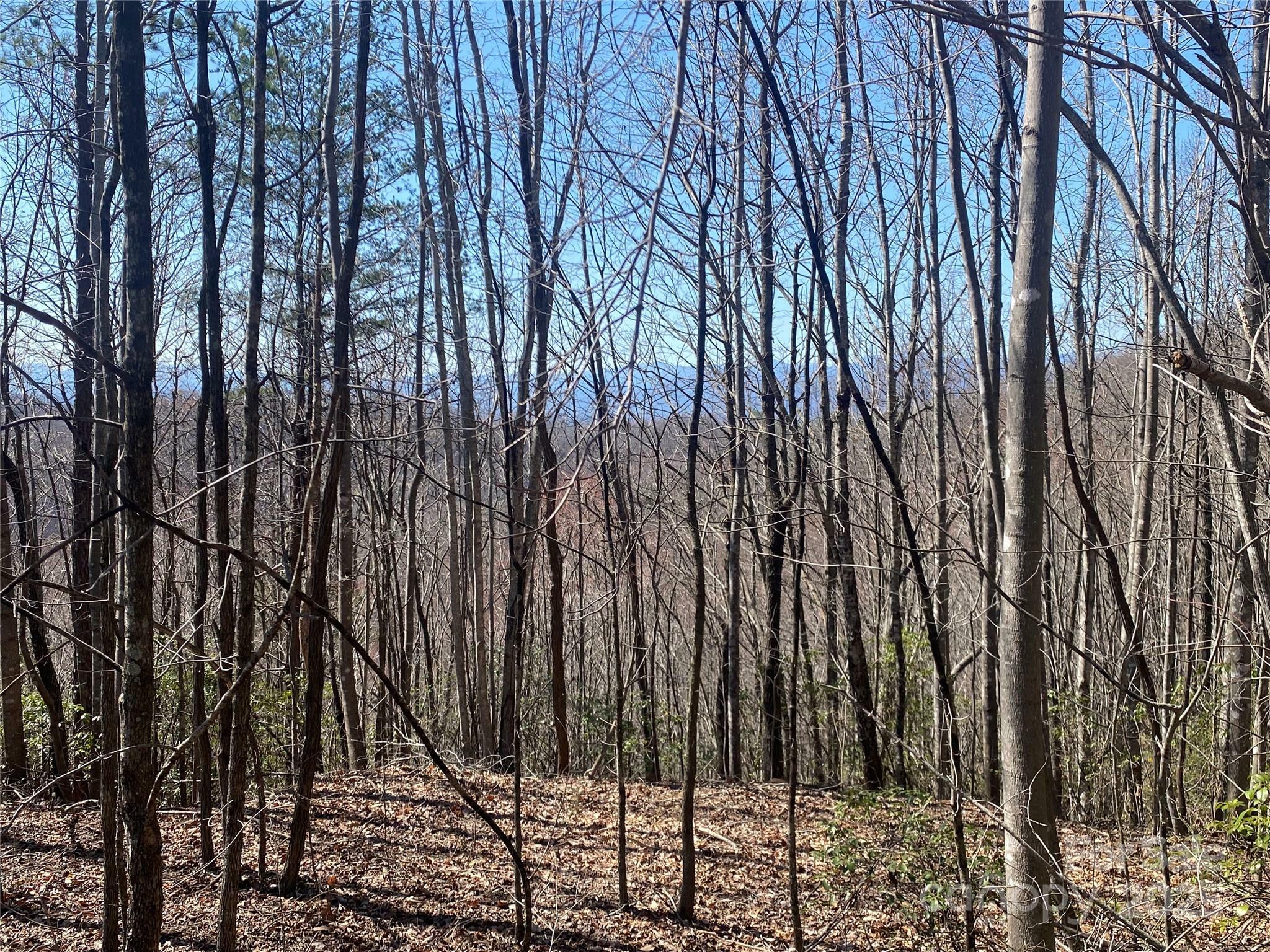 Property Photo: Lot 72 Mountain Crest Drive S NC 28752