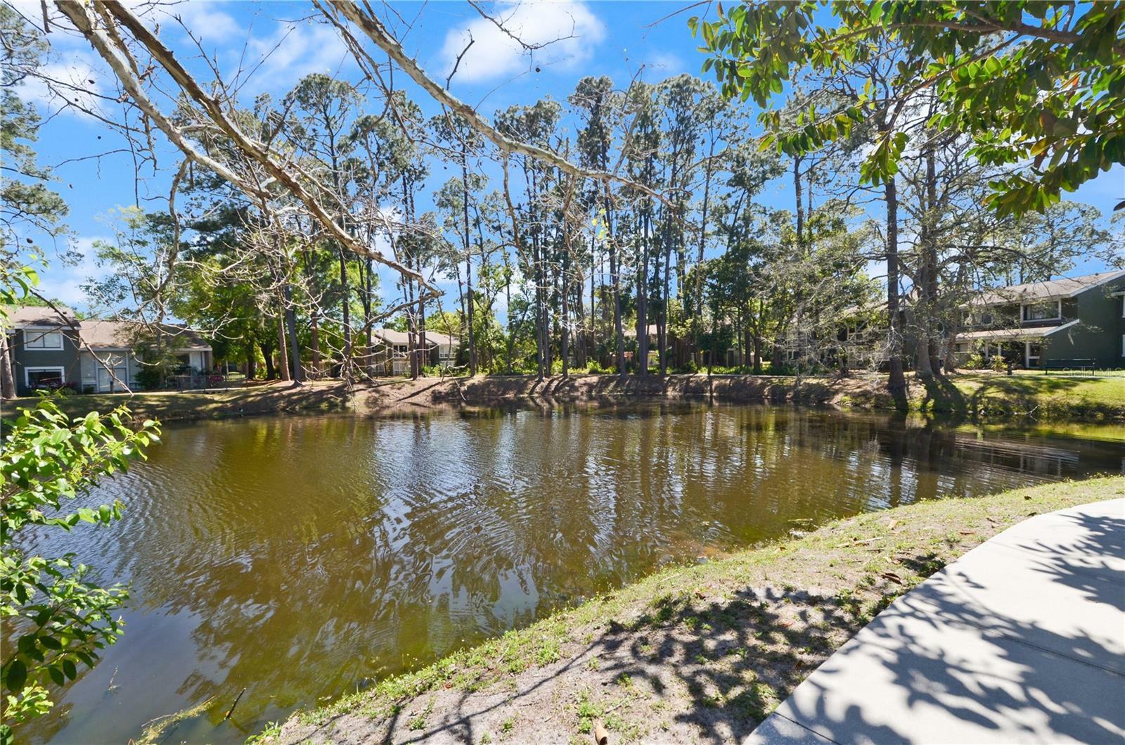 Property Photo: 6114 Peregrine Avenue D03 FL 32819