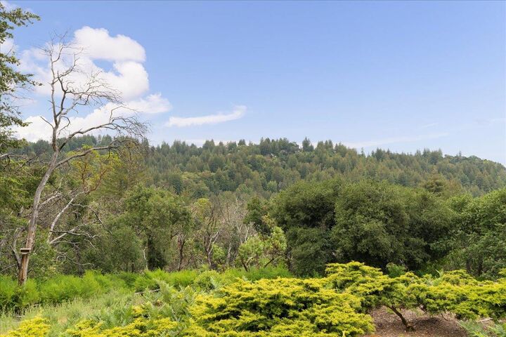 Property Photo:  255 Cresci Road  CA 95033 