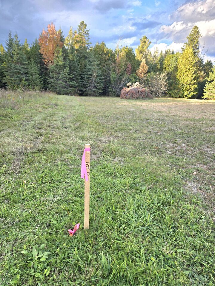 Property Photo:  Tbd W Portage St  MI 49781