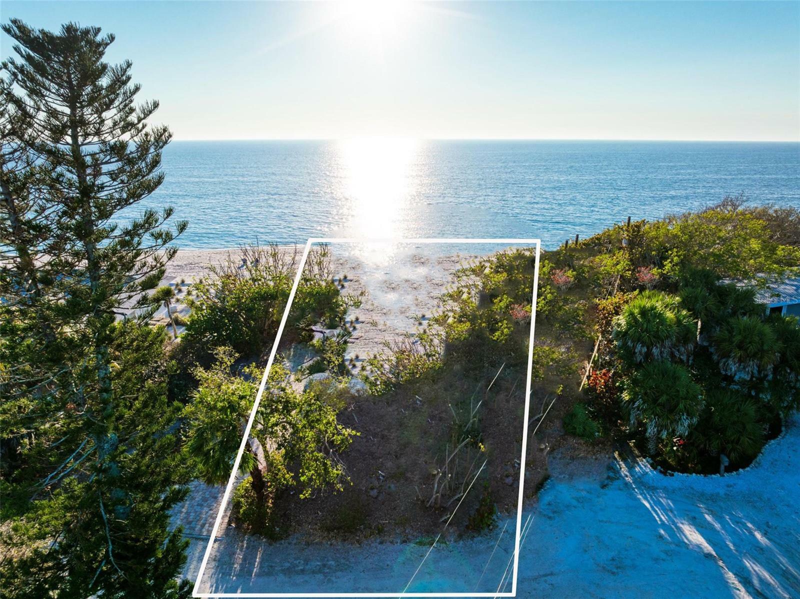Property Photo: 6118 Gnarled Oak Drive FL 34223