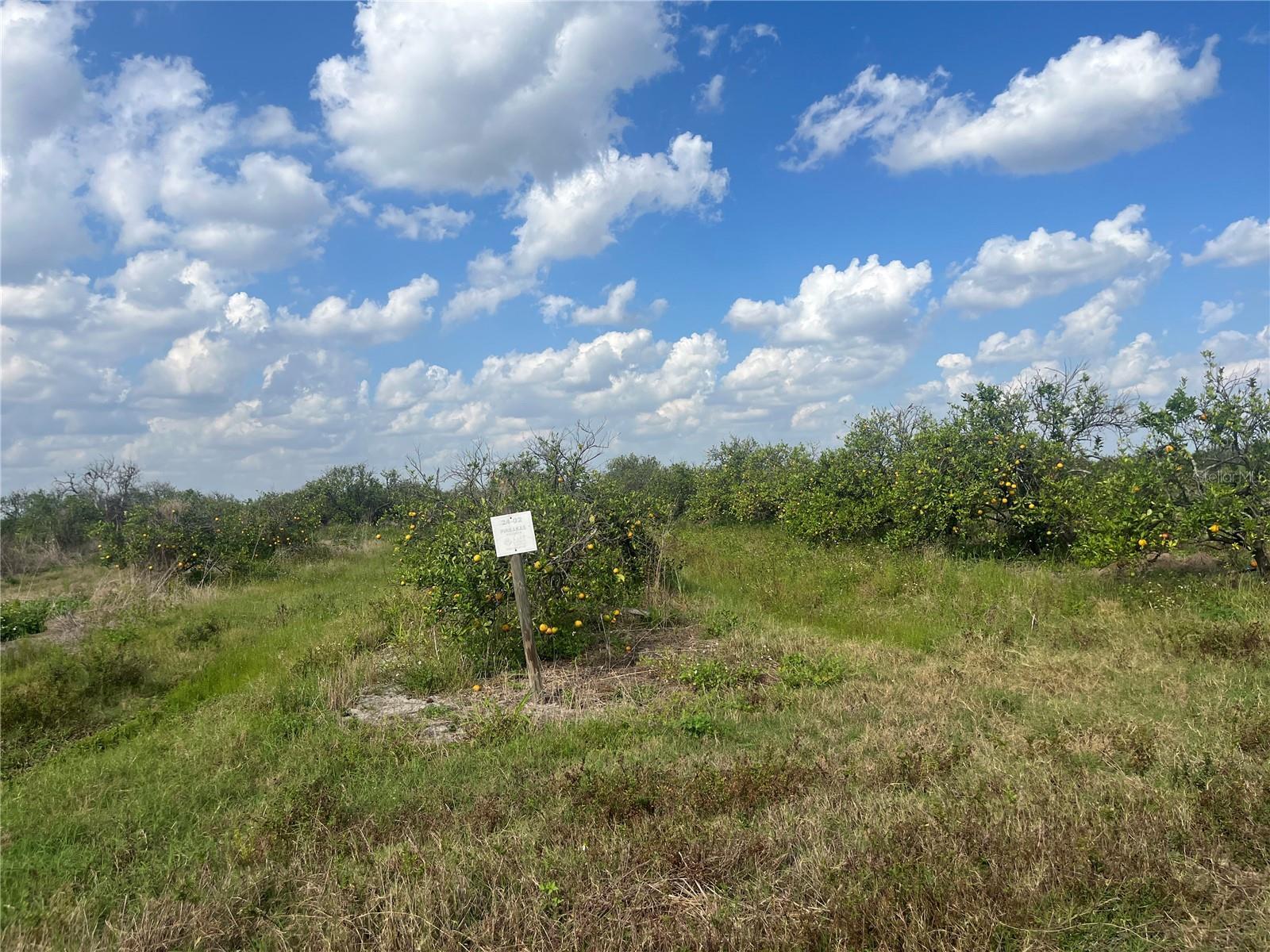 Property Photo:  NE Highway 70  FL 34266 