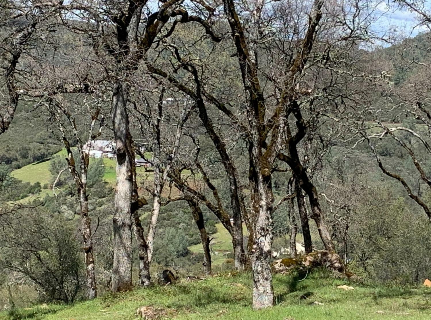 Property Photo: 19 Jurgens Road CA 95672