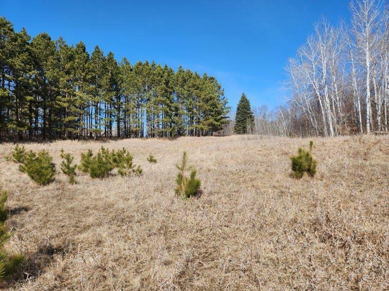 Property Photo: Xxx Goldfinch Circle NE MN 56354