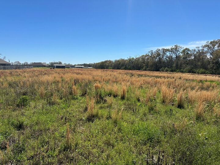 Property Photo:  0 W Cook Rd  AL 36301 