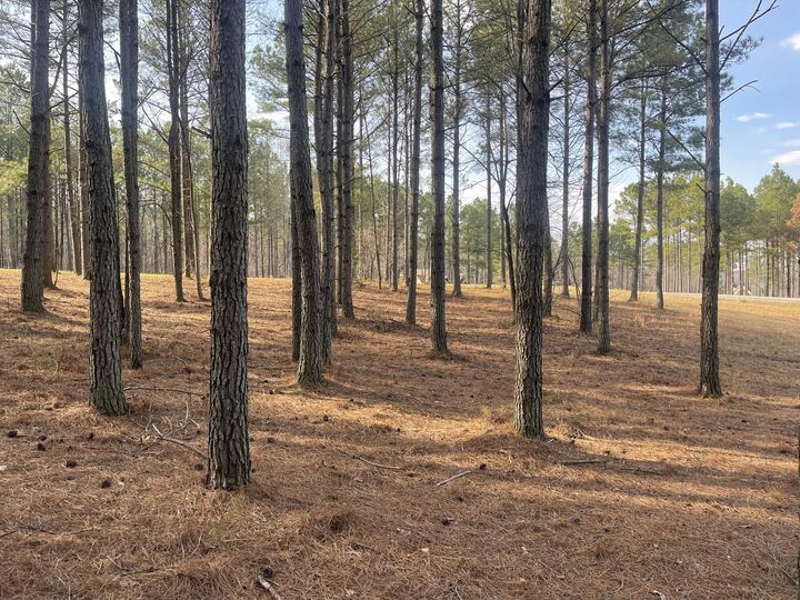 Property Photo:  179 High Point Lane  TN 37347 