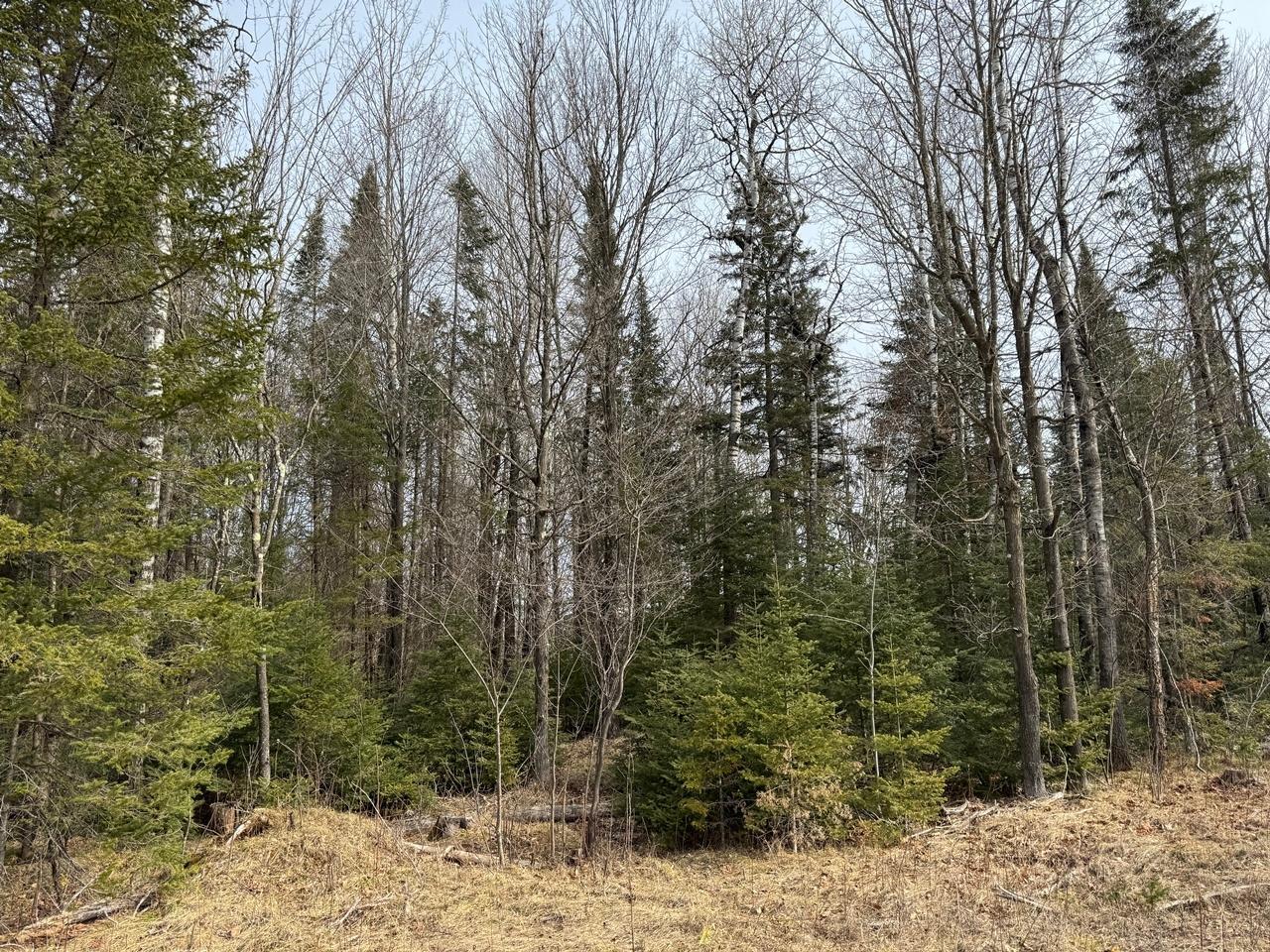 Property Photo: Parcel B Private Rd WI 54547