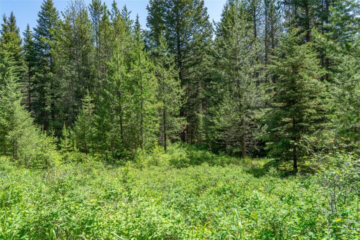 200 Stageline Drive  Whitefish MT 59937 photo