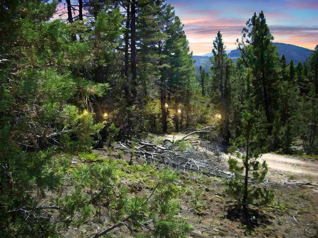 Property Photo: 179 Boarding House Flats Road MT 59858