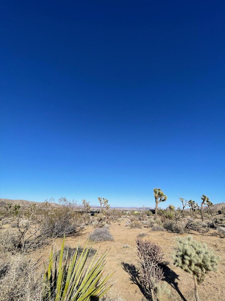 Property Photo:  0 Saddleback Road  CA 92252 