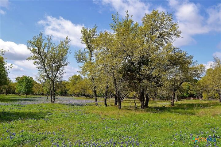 1290 County Road 4765  Kempner TX 76539 photo