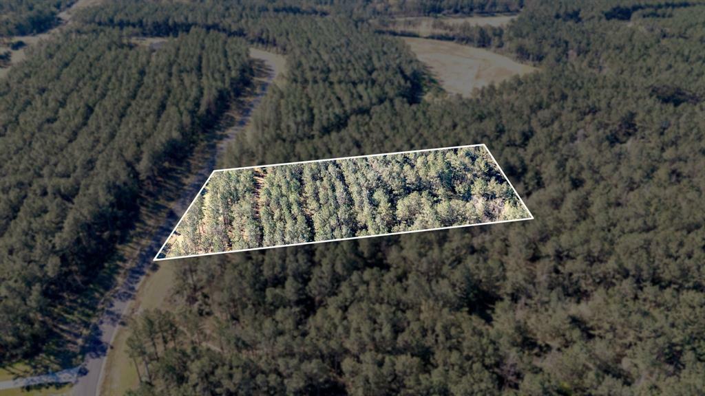 Property Photo:  15363 Forest Grove Drive  TX 77378 