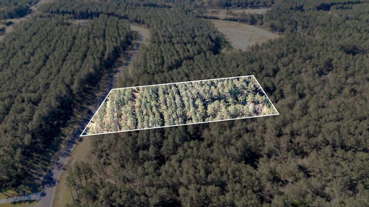 Property Photo: 15363 Forest Grove Drive TX 77378