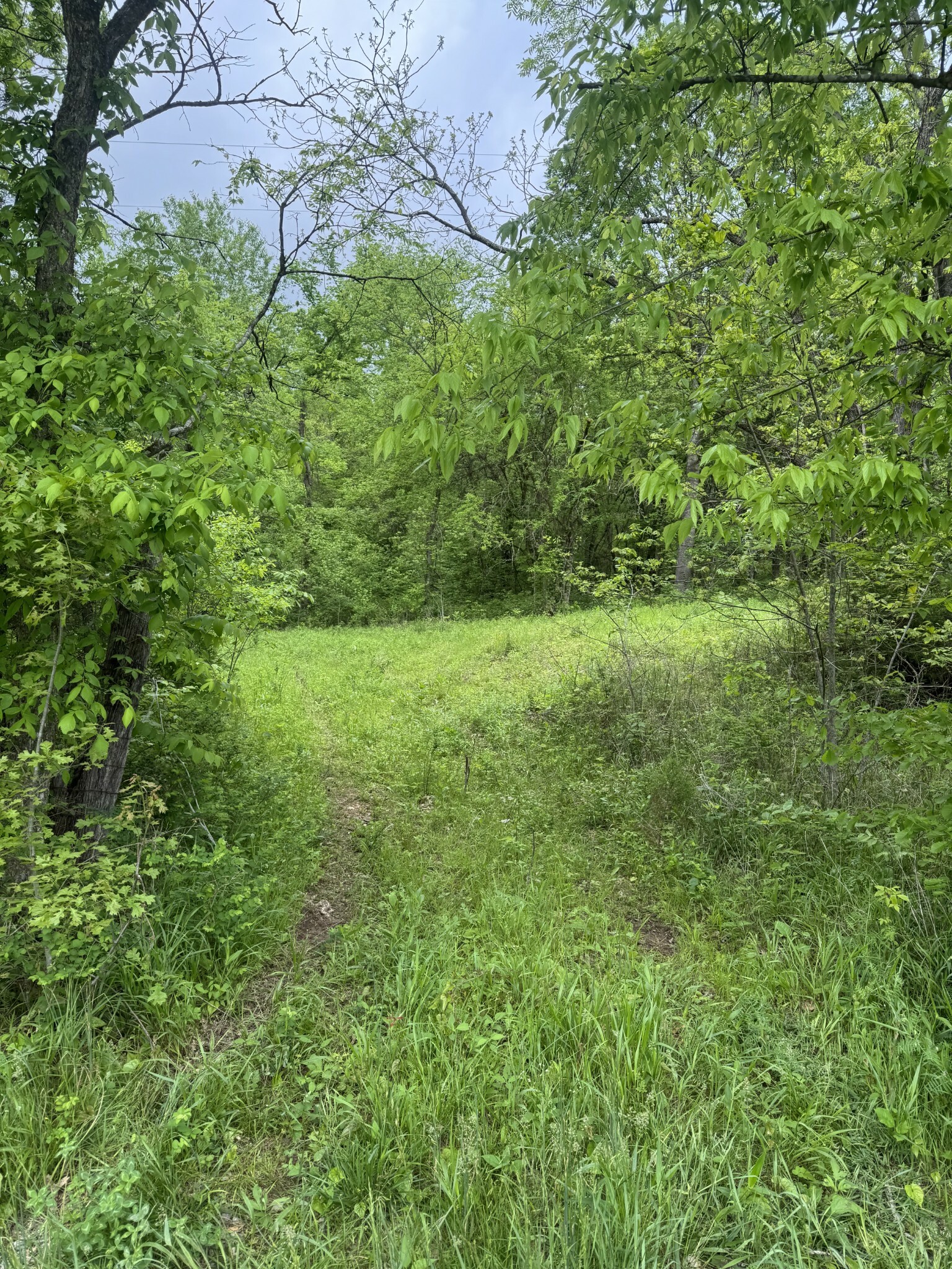 Property Photo: 0 Panhandle Road TN 37355
