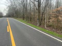 Property Photo: Lot 6 Highway 304 TN 37322
