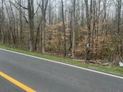 Property Photo: Lot 7 Highway 304 TN 37322