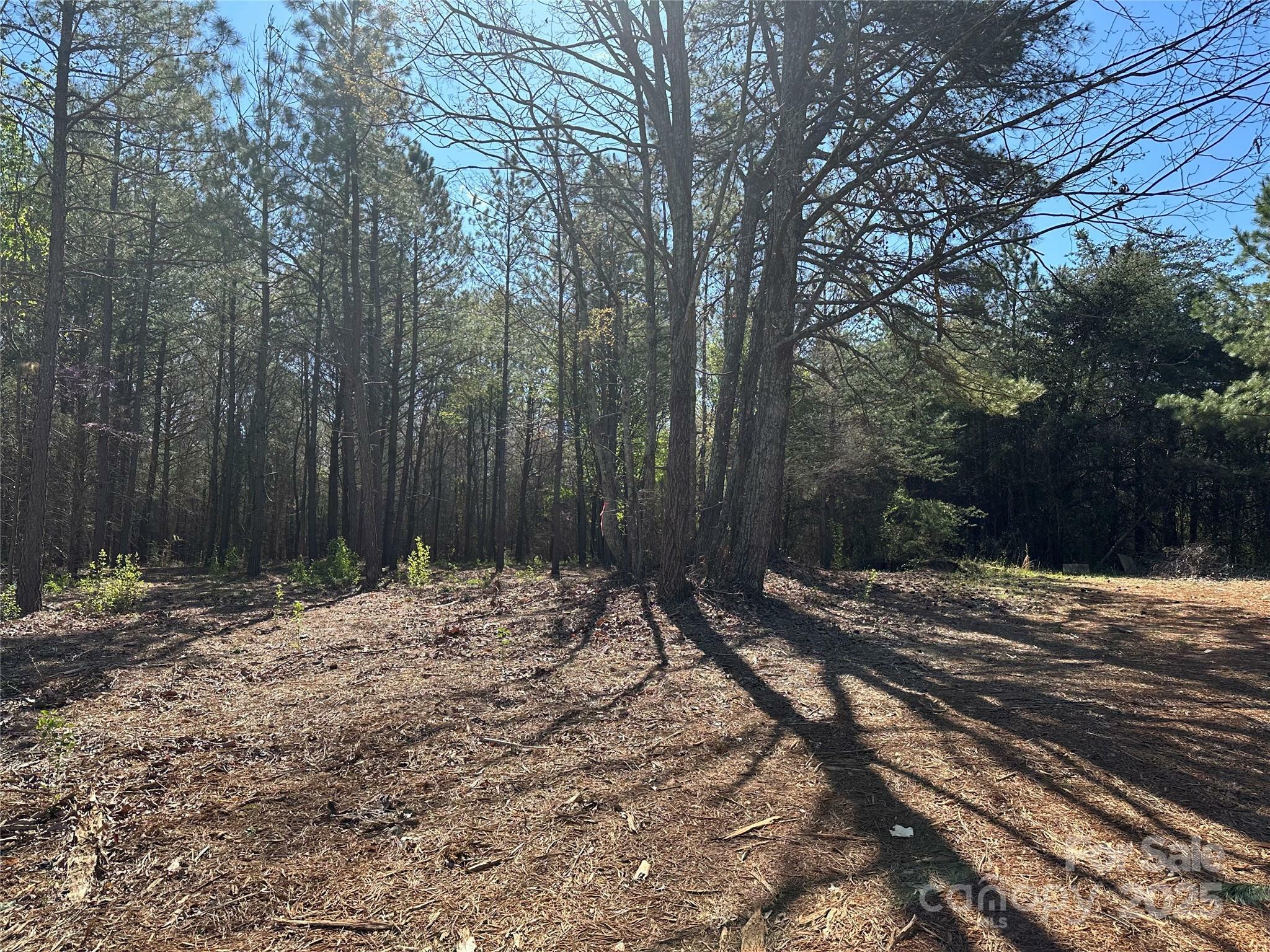 Property Photo: 4339 East Maiden Road NC 28650