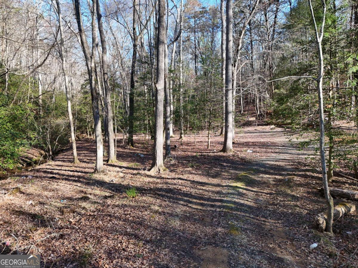 Property Photo: 300 Kaleb Trail GA 30559