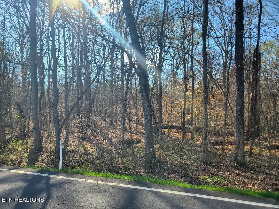 Lot 8 Highway 304  Decatur TN 37322 photo