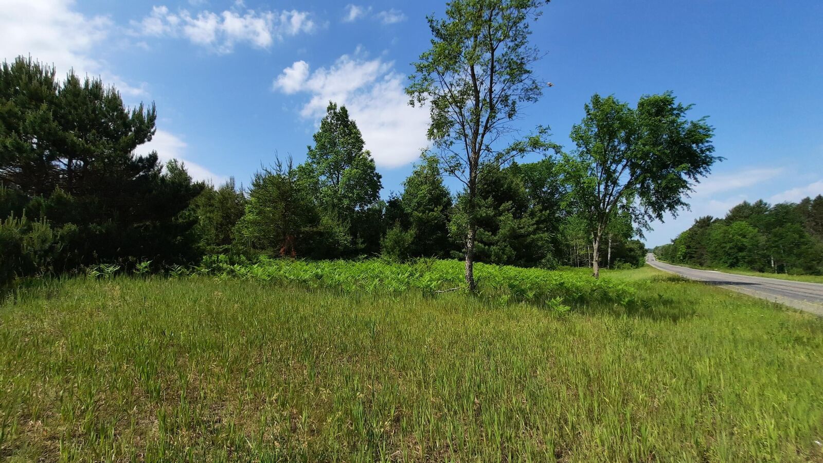 Property Photo:  19.5 Acres 9 Mile Road  MI 49645 