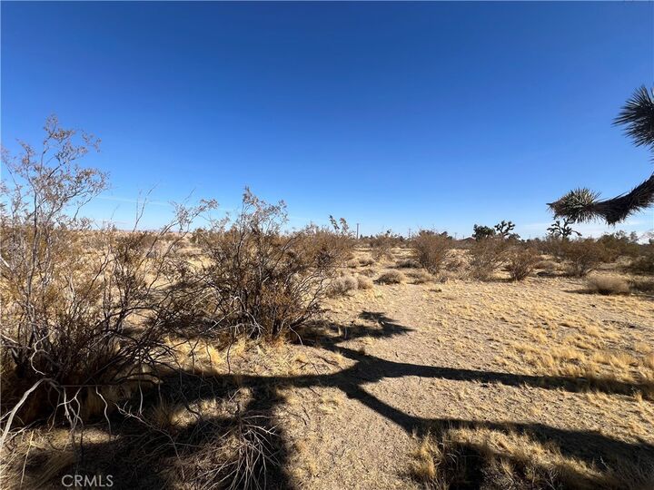 Property Photo: 0 Mountain CA 92372