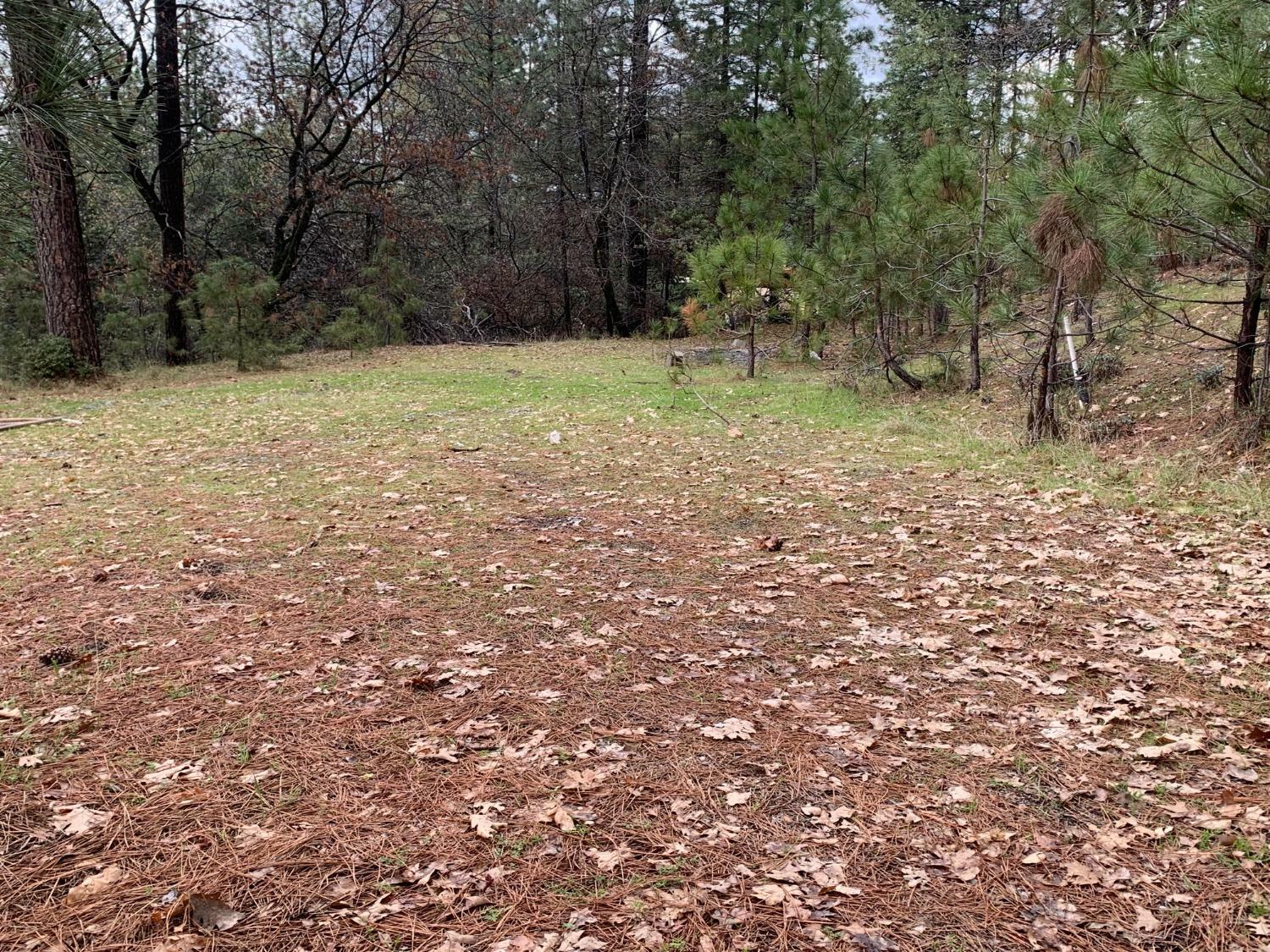 Property Photo:  6500 Brewers Hill Road  CA 95667 