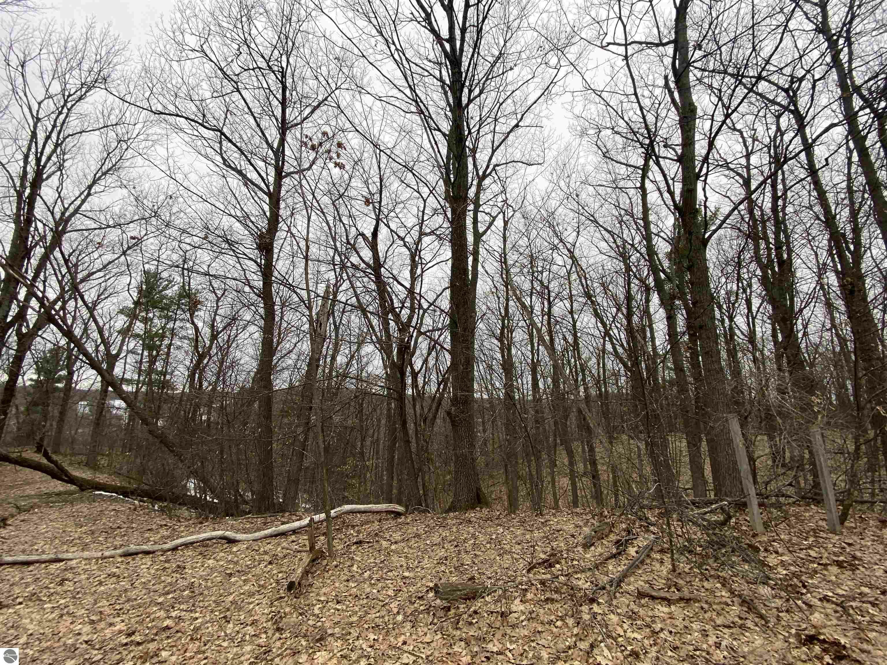 00 Incochee Crest Commons  Traverse City MI 49684 photo