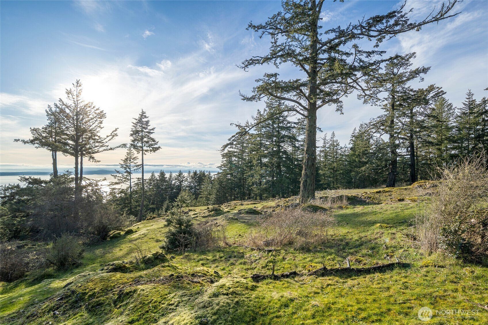 Property Photo: 32 Rascal Road WA 98250