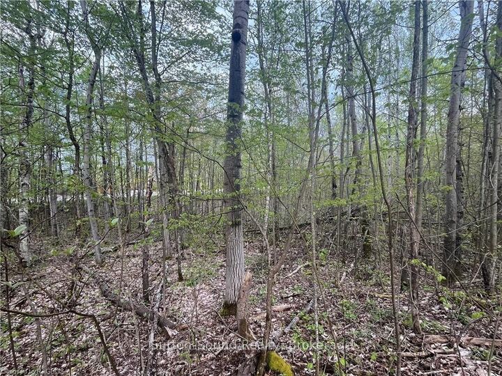 Property Photo:  Lot 5 Grey  Road 1 N/A  ON N0H 2T0 