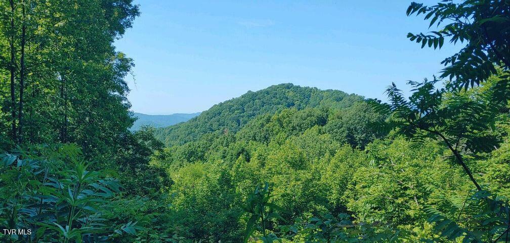 Property Photo: 174 Doty Road TN 37687