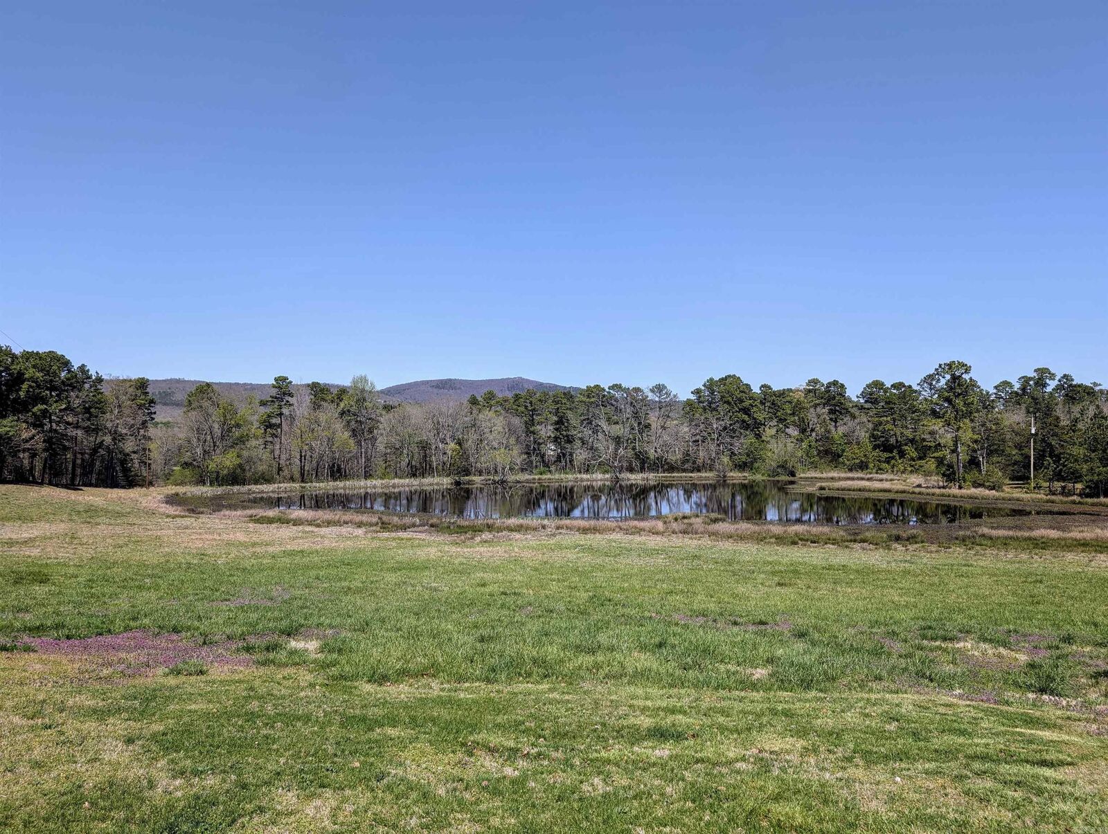 Property Photo: 164 Polk Road 714 AR 71953