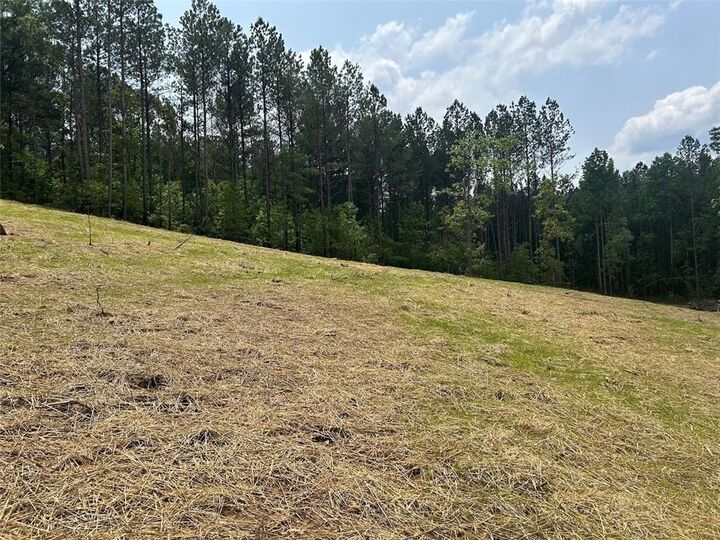 Property Photo:  181 Riversong Road  GA 30117 