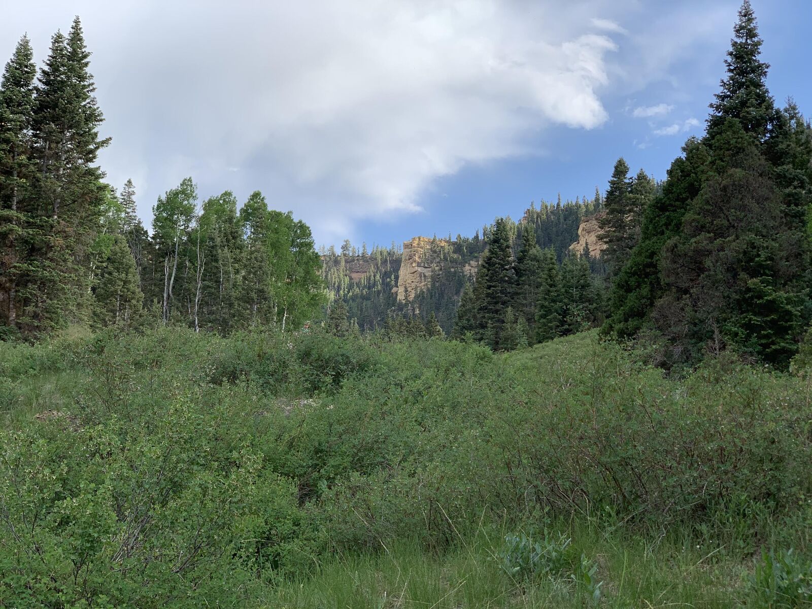 Property Photo:  Cedar Mountain Ashdown Gorge-B  UT 84720 