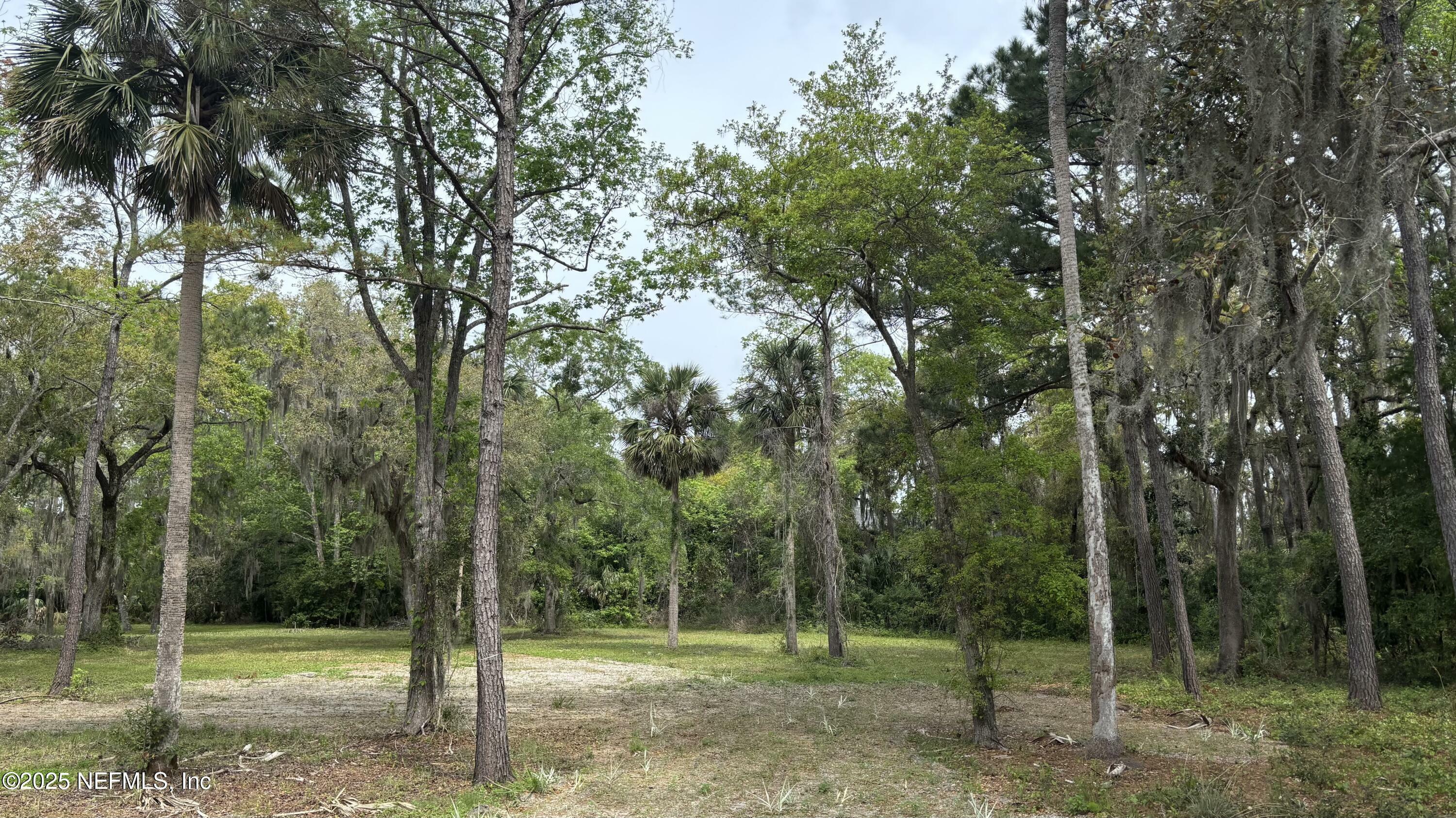 Property Photo: 137 Walter Way FL 32082