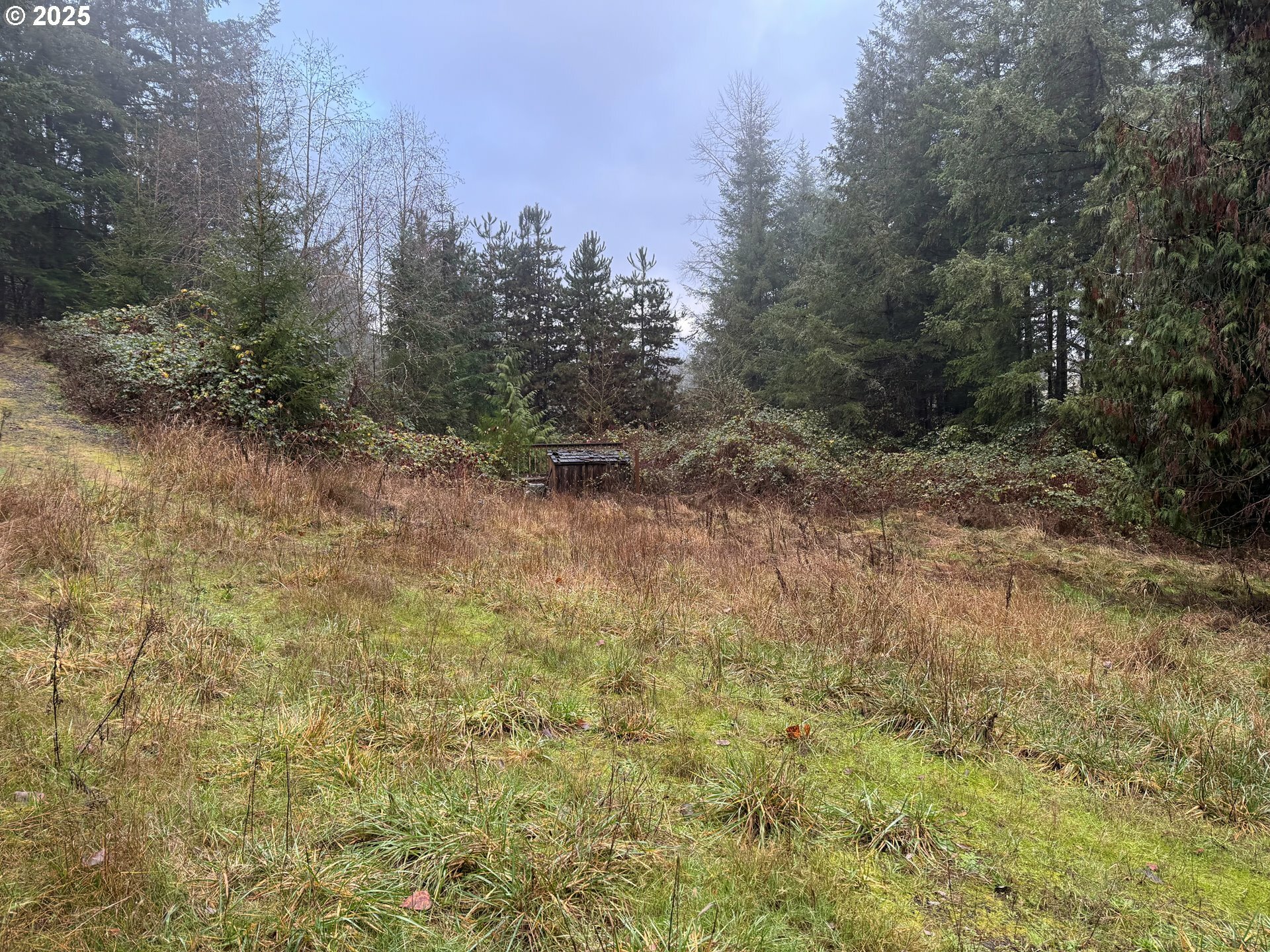 Property Photo: 28381 S Salo Rd OR 97042