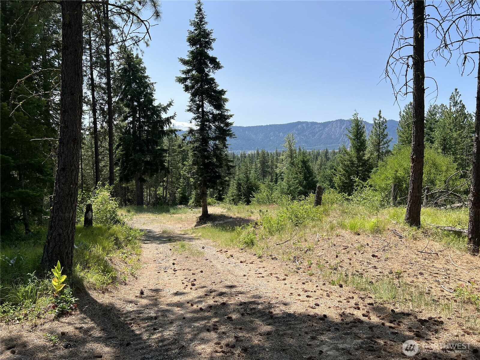 Property Photo: 1571 Summit View Road WA 98922