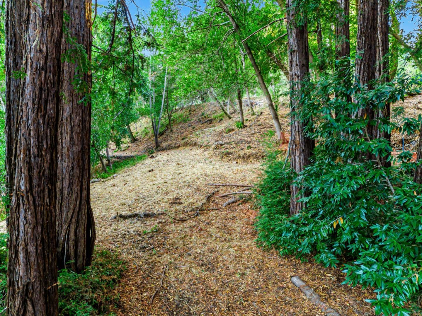 Property Photo:  18 Montecito  CA 94062 