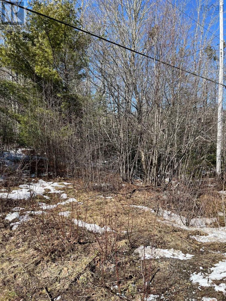 Photo de la propriété: 535 Westfield Road NS B0T 1B0