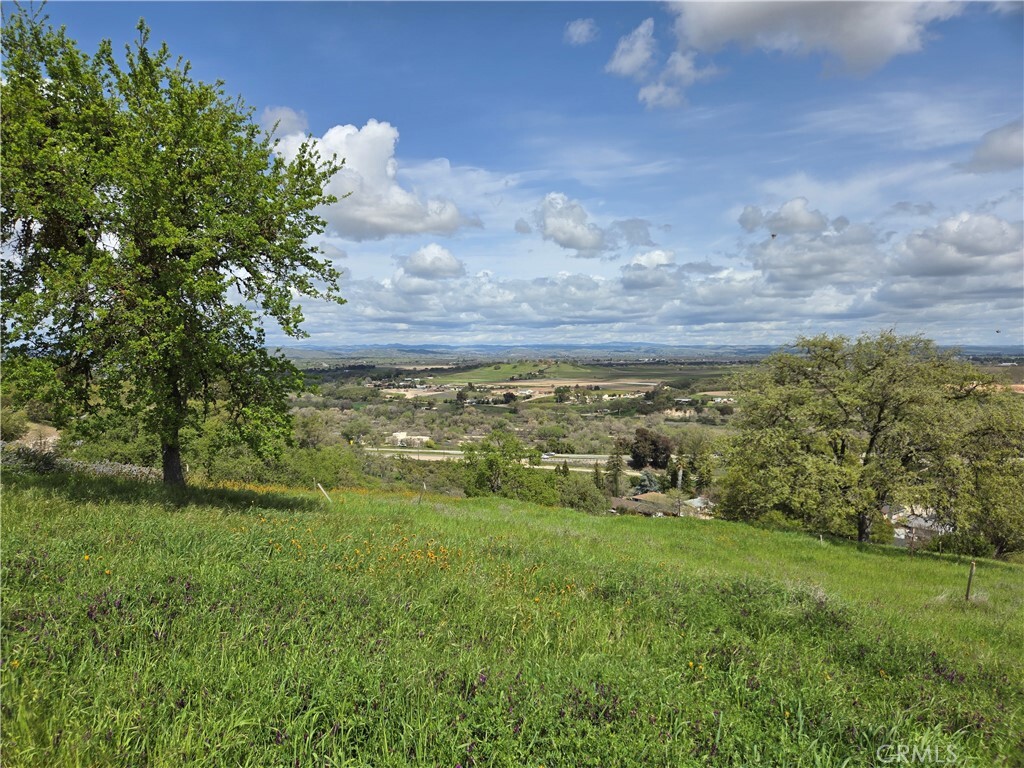 436 Calle Alto Street  Paso Robles CA 93446 photo