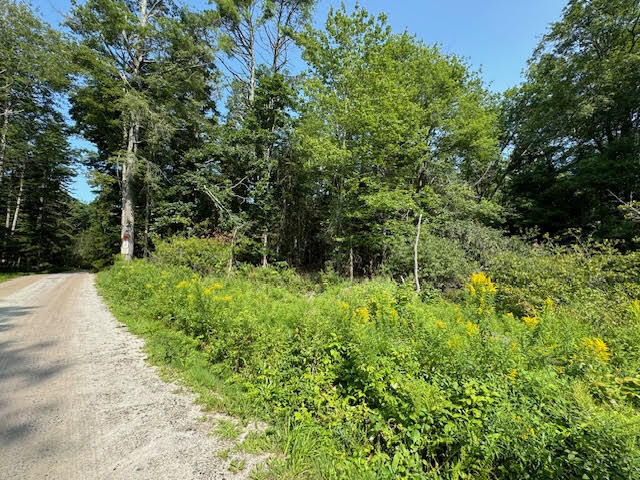Property Photo:  Lot C Long Point Road  ME 04079 