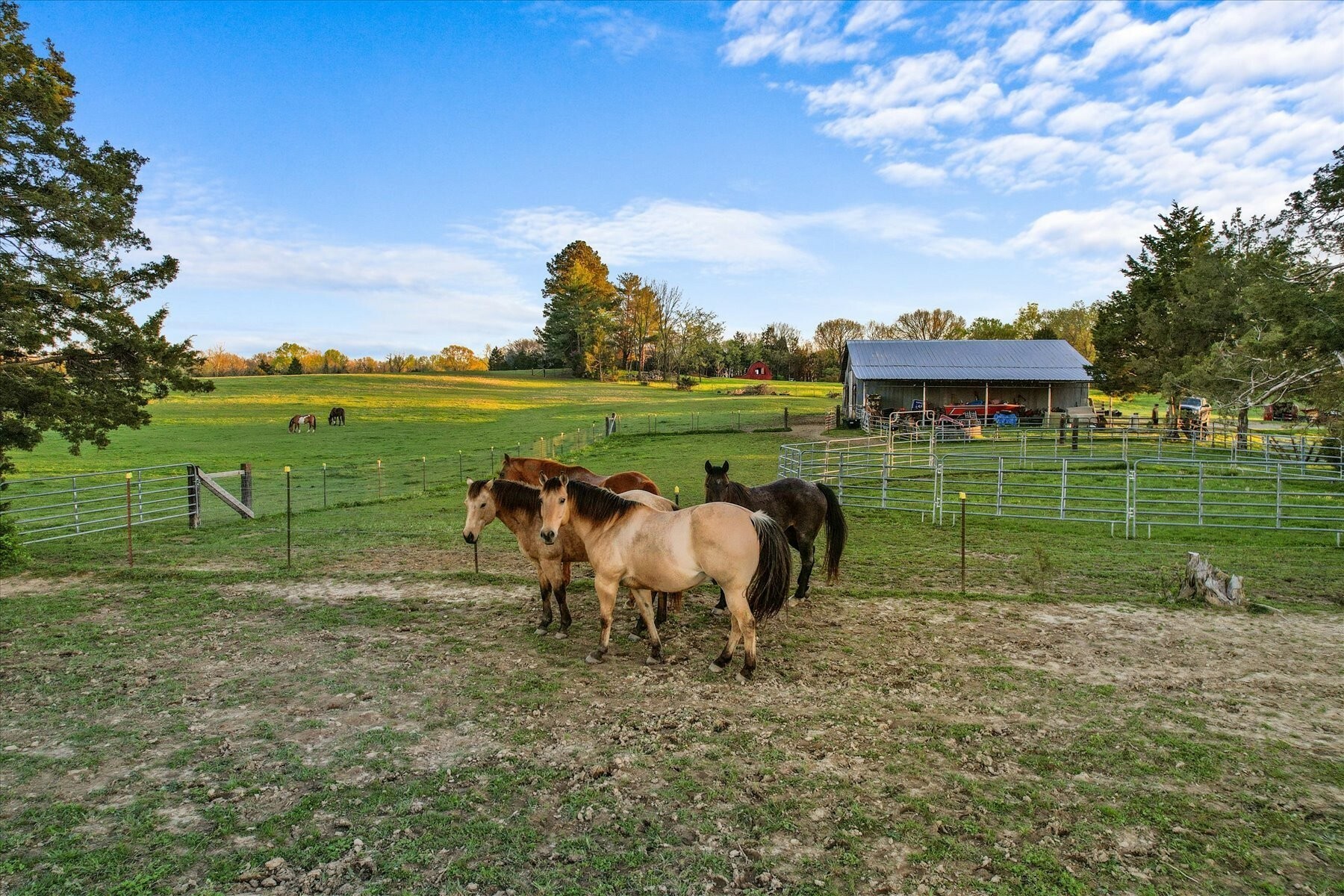 Property Photo: 1661 Martha Leeville Rd TN 37090