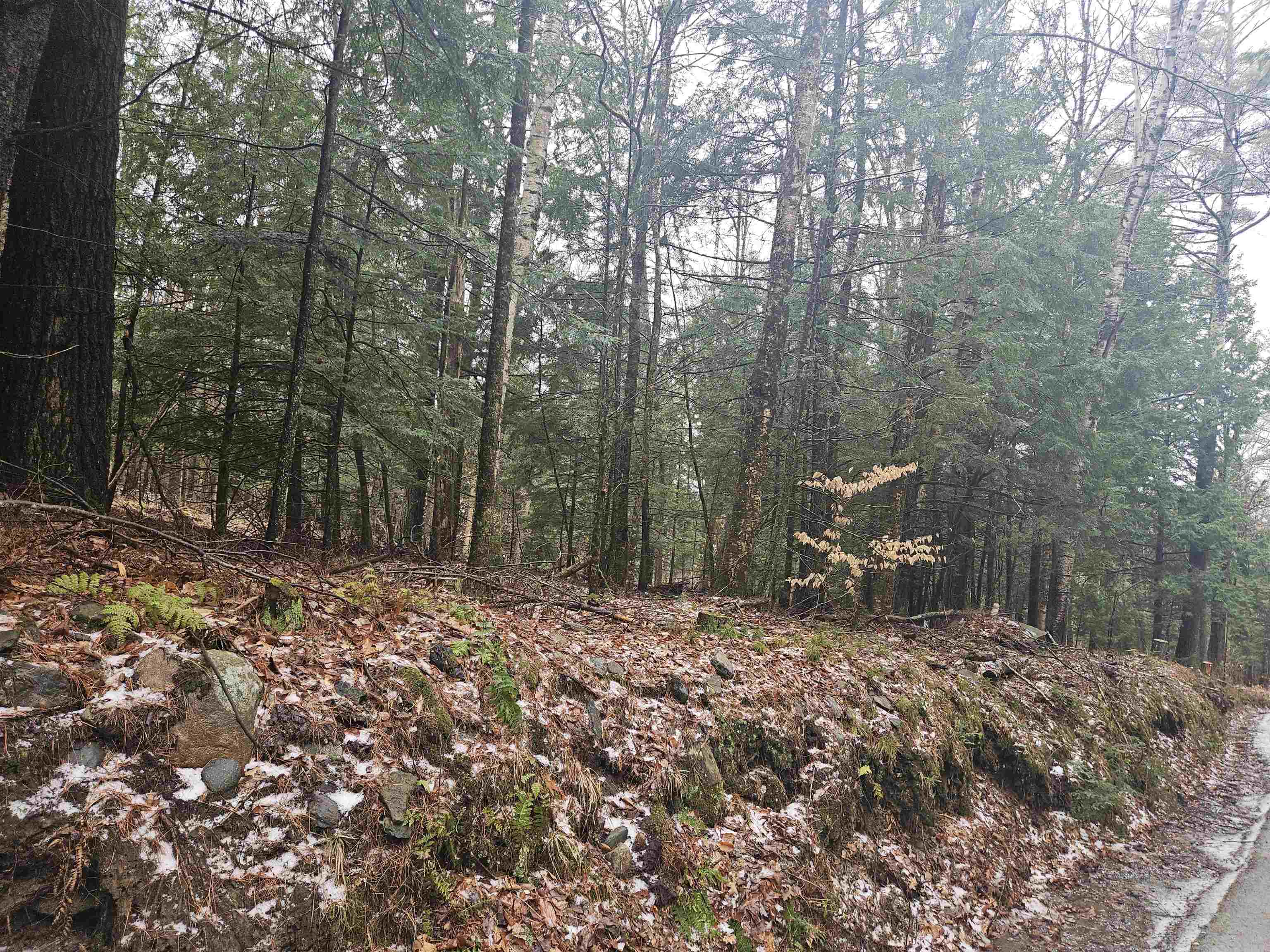 Property Photo: 47 Highbridge Road NH 03768