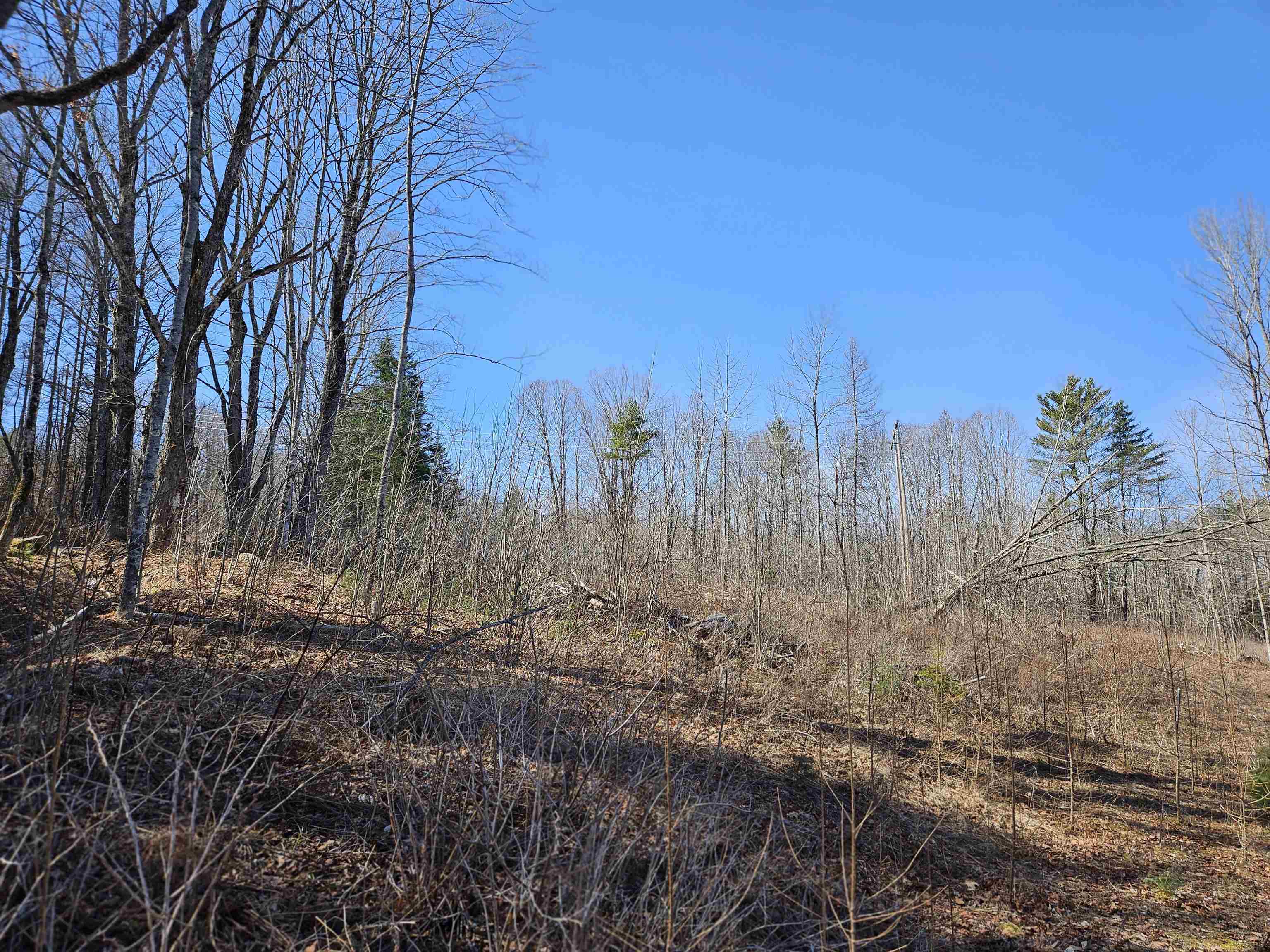 Property Photo: 324 Crane Hill Road NH 03486