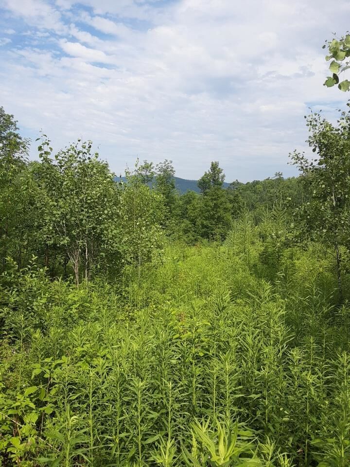 Property Photo:  324 Crane Hill Road  NH 03486 