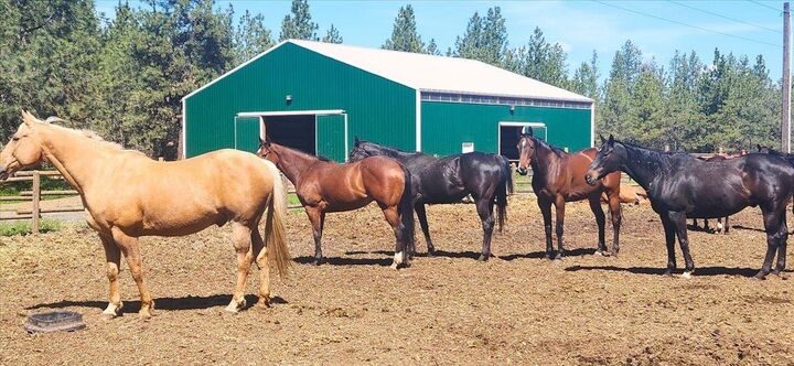Property Photo: 1810 W Paradise Rd WA 99224-9255