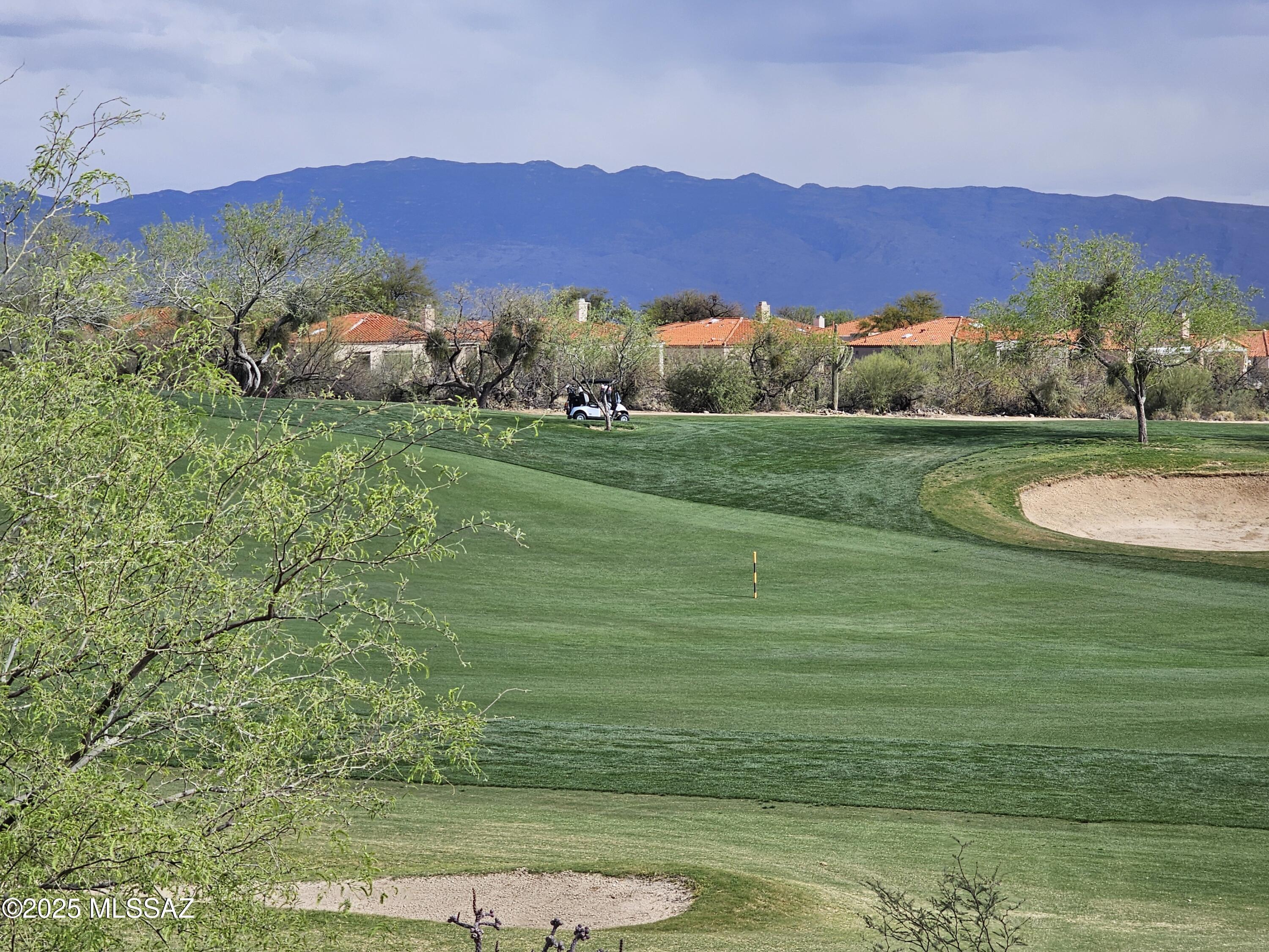 5304 N Spring View Drive  Tucson AZ 85749 photo