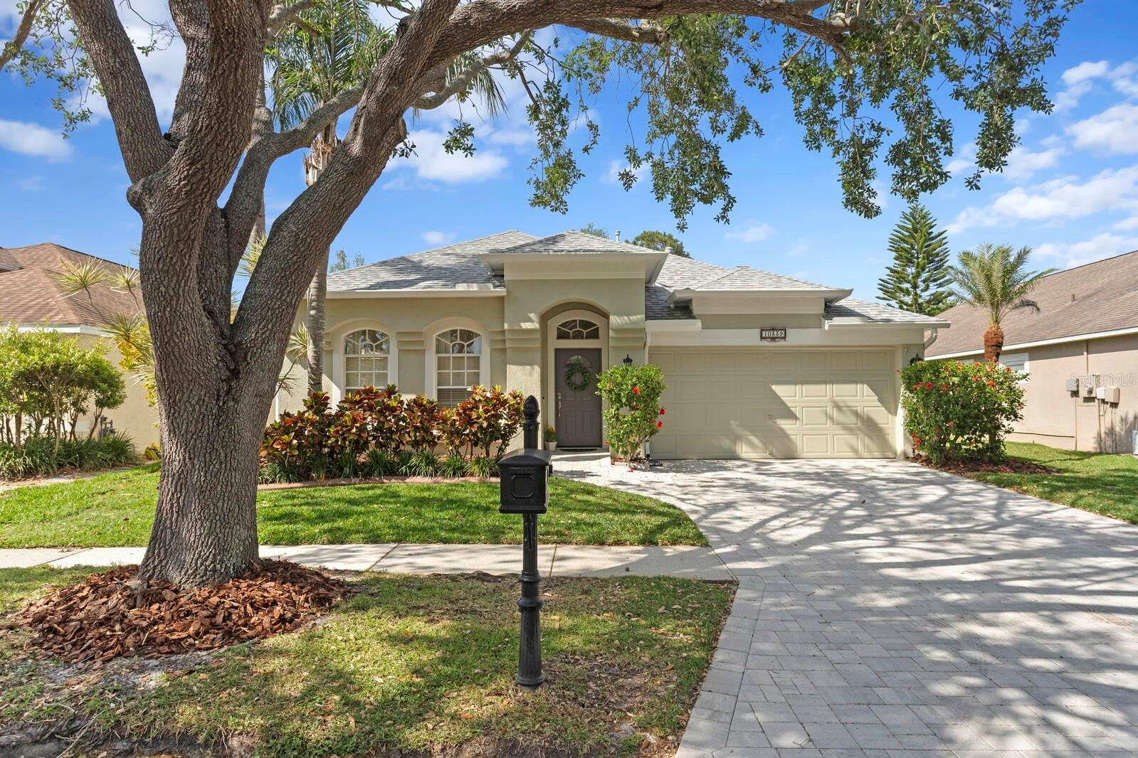 10339 Lightner Bridge Drive  Tampa FL 33626 photo
