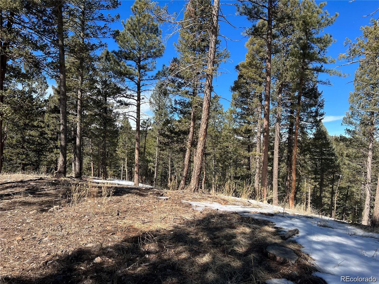 Property Photo:  7871 Gold Rush  CO 80465 