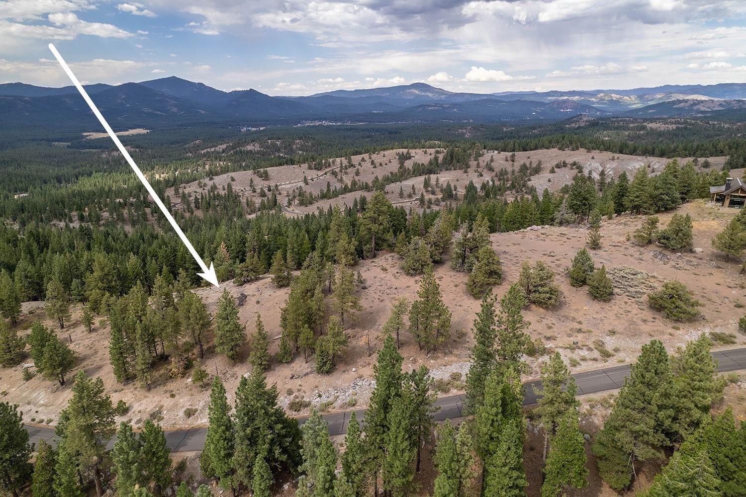 321 Eagles Nest  Portola CA 96122 photo